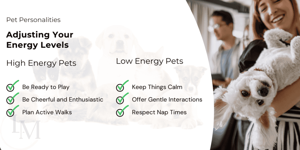 information for pet sitters on how do deal with different pet personalities and their energy levels