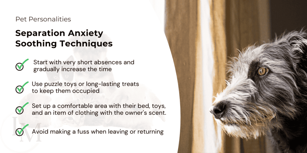 information for pet sitters on how do deal with different pet personalities and how to deal with separation anxiety